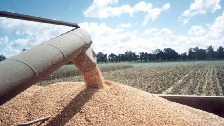 El gobierno nacional flexibilizó los controles sobre la producción de granos y semillas