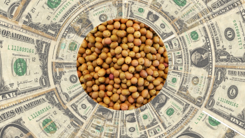 Ante la sequía de divisas, el gobierno decidió prorrogar el “dólar soja”