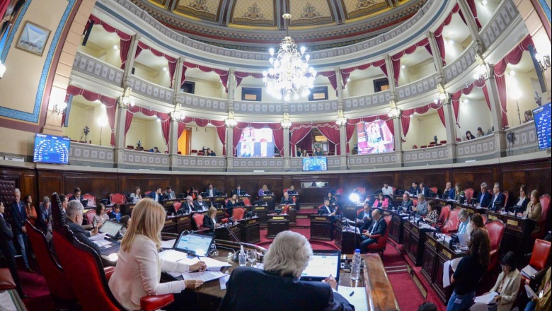 Los senadores bonaerenses aprobaron la adhesión a la Ley Lucio