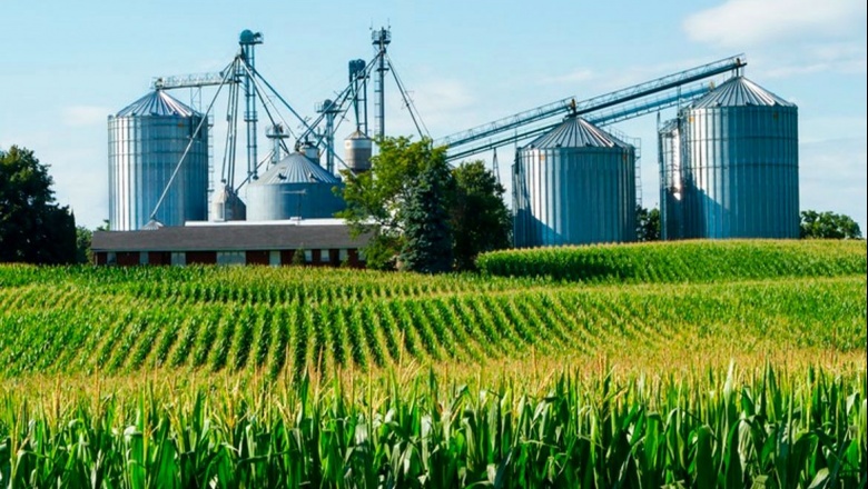 Agroalimentarias: se pierde el ingreso de us$ 600 millones al año