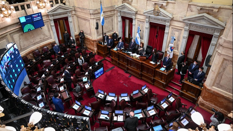 Ley Bases: el Senado comenzó el debate en el recinto del ambicioso proyecto del presidente Milei