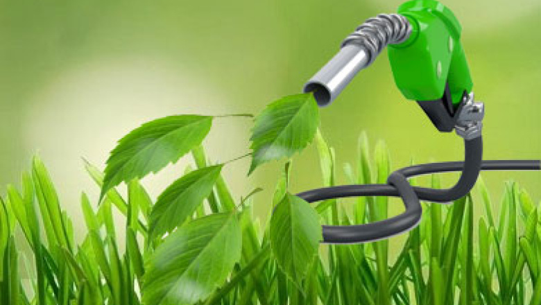 El Gobierno fijó nuevos precios mínimos para biocombustibles