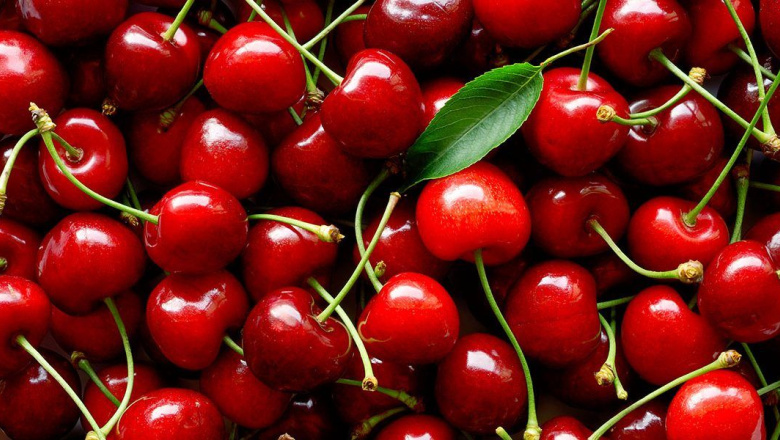 Aseguran que nueva ruta Shanghai–Buenos Aires favorece al comercio internacional