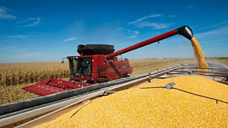 El Gobierno anunció una nueva baja en las retenciones para el campo