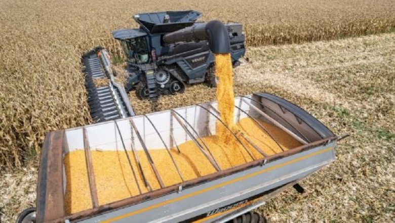 Proyectan cosecha récord de 154,8 millones de toneladas para la campaña 2025/26