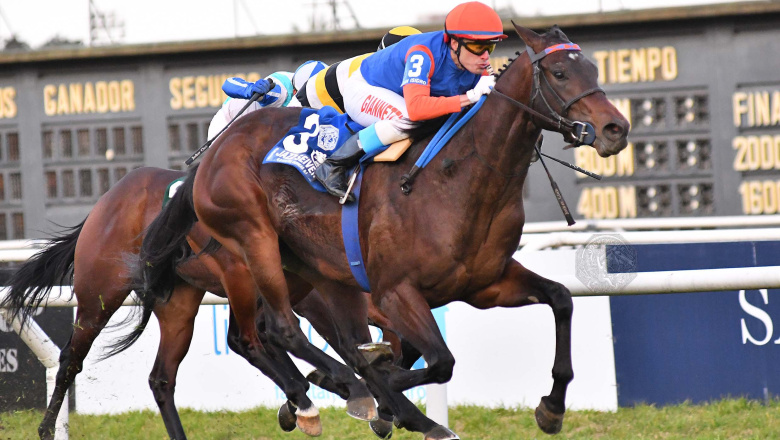 Habilitan a las agencias hípicas para operar en el juego "online"