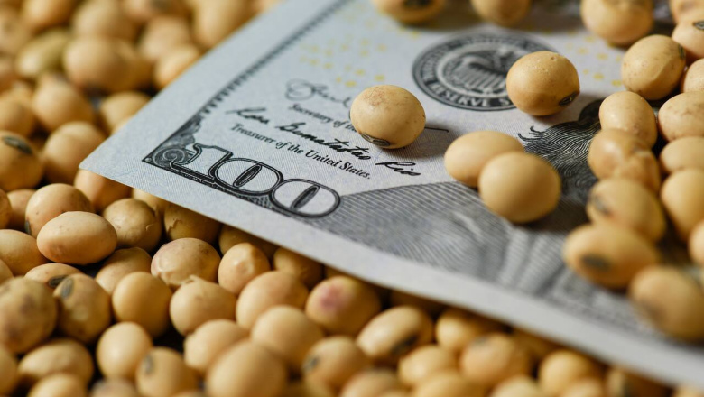 Impacto en el agro por la Guerra en Medio Oriente: el precio de la soja sube 4% a US$444
