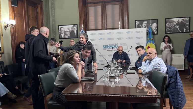 Lago se quedó con la presidencia de Legislación General pero con disidencias dentro del bloque de UP