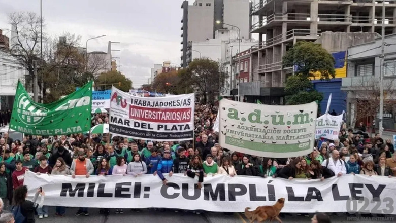 El reclamo por el financiamiento universitario fue masivo y el gobierno lo tildó de "acto opositor"