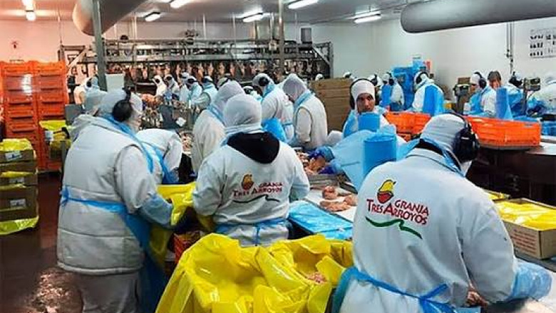 Granja Tres Arroyos despidió a 260 empleados argumentando caída de la actividad por la gripe aviar