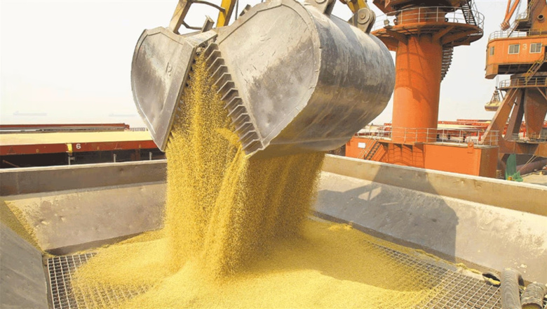 Soja y petróleo fueron los motores de las exportaciones del primer semestre