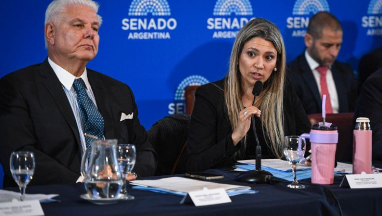 El oficialismo en el Senado no pudo dictaminar el Súper RIGI