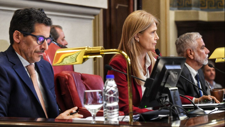 Sesión en la Cámara de Senadores de la provincia de Buenos Aires