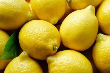 Los 10 productos que más aumentaron en diciembre de 2025 y sus precios en góndola