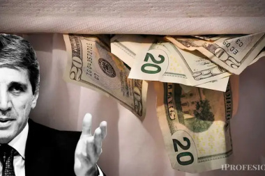 “Inocencia fiscal”: cuestionan la creación de un sistema de “blanqueo continuo” y proponen un “Flat tax"