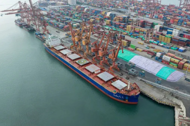 El trigo tuvo en China una buena bienvenida, pero el girasol asoma con fuerza en los campos argentinos