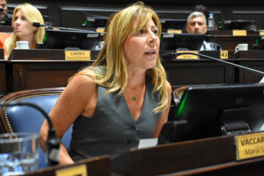 Diputada busca proteger a consumidores sobreendeudados y frenar abusos en cobranzas extrajudiciales