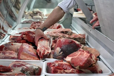 Cayó el consumo de carne y llegó a su nivel más bajo en dos décadas, no llega a los 50 kilos per cápita por año