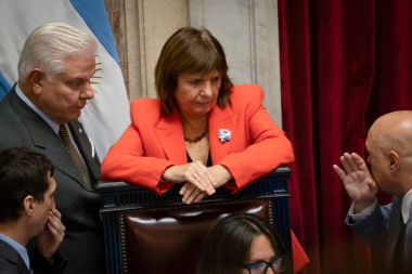La Libertad Avanza busca activar el Senado para votar propiedad privada y el pliego de Pesino