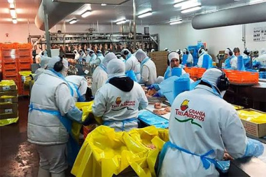 Granja Tres Arroyos despidió a 260 empleados argumentando caída de la actividad por la gripe aviar