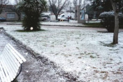 Se tiñó de blanco al sudeste bonaerense tras una intensa ola polar