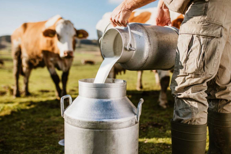 La producción de leche creció 9,7% en 2025 y alcanzó el mayor volumen en 10 años